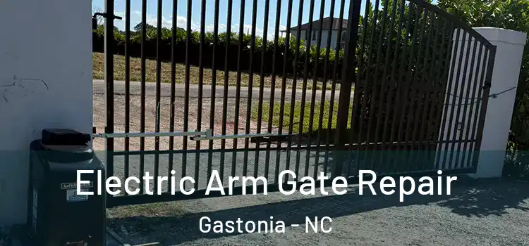 Electric Arm Gate Repair Gastonia - NC