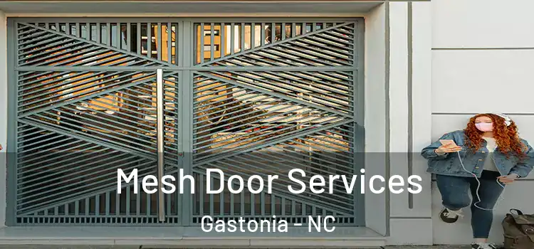 Mesh Door Services Gastonia - NC